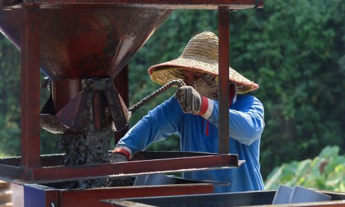 616786972_1330747925762439_6654295769794292912_n